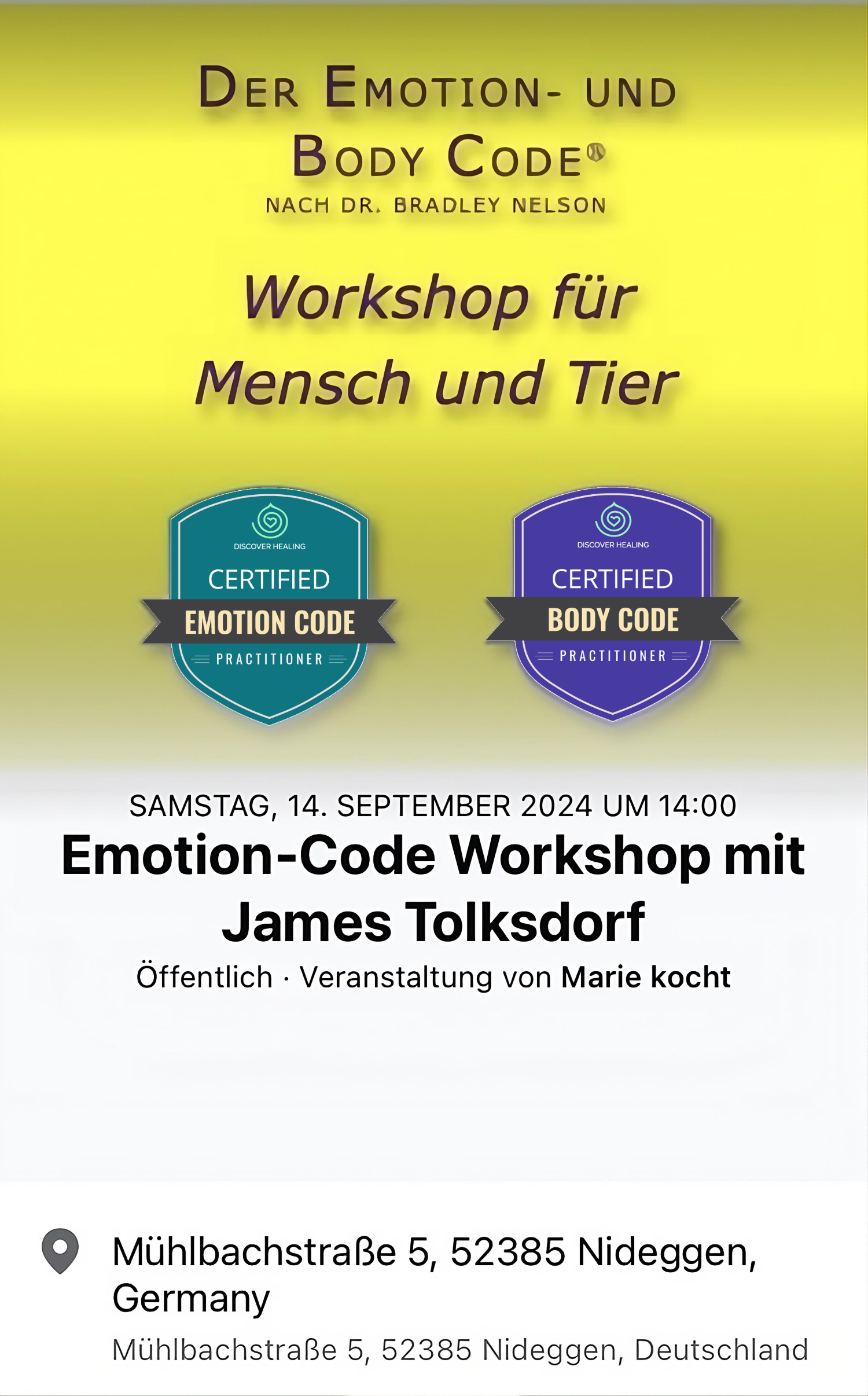 Emotion-Code Workshop mit James Tolksdorf